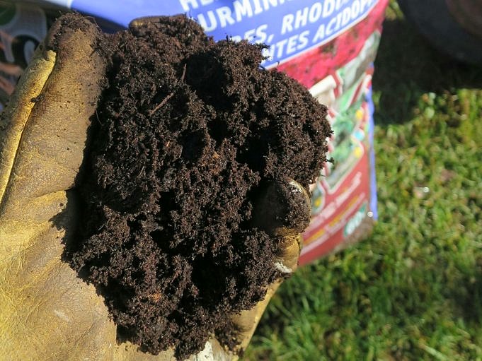 Qu'est-ce que le sol de perlite et pourquoi votre jardin peut en avoir besoin